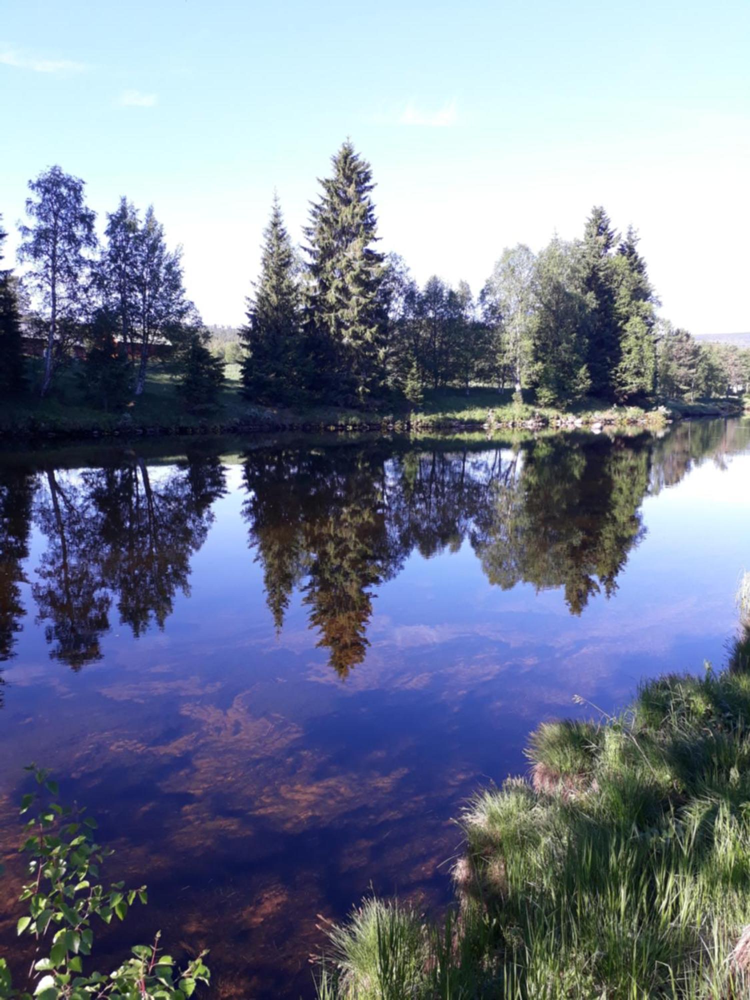 Hytte Anno 1721 Uten Internett, Strom, Vann - Men Med Rodmalt Utedo Ljørdal Exterior foto